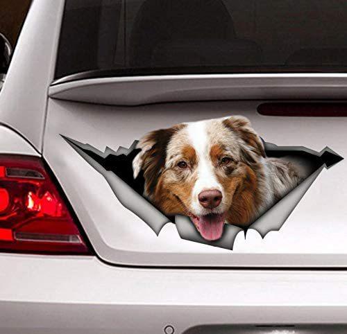 Australian Shepherd Dog Car Decal Sticker | Waterproof | PVC Vinyl | CCS2135-BehighStyle