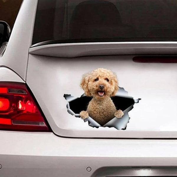 Cute Poodle Dog Car Decal Sticker | Waterproof | PVC Vinyl | CCS1353-BehighStyle