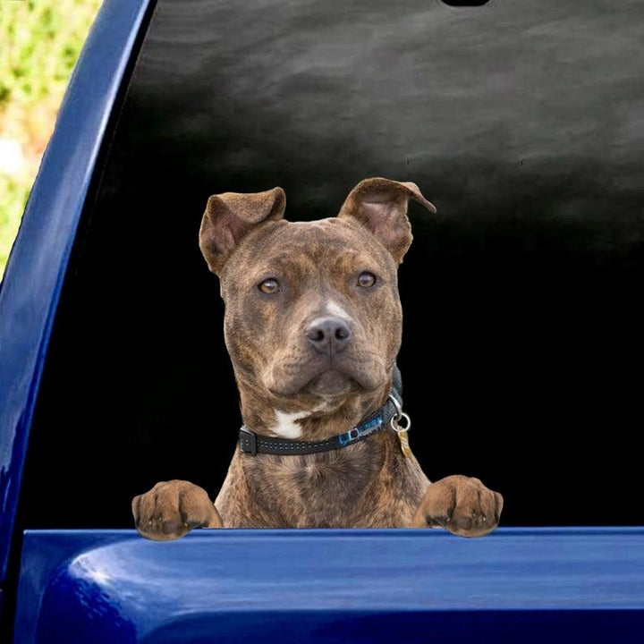 Dog Pitbull Car Decal Sticker | Waterproof | PVC Vinyl | CCS1902-BehighStyle