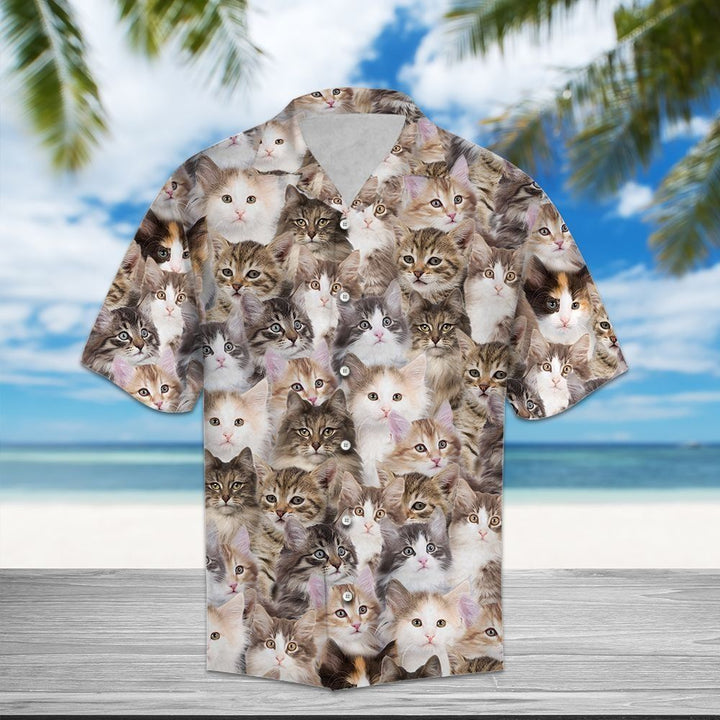 Norwegian Forest Cat Gray White Hawaiian Shirt | For Men & Women | HW1341-BehighStyle