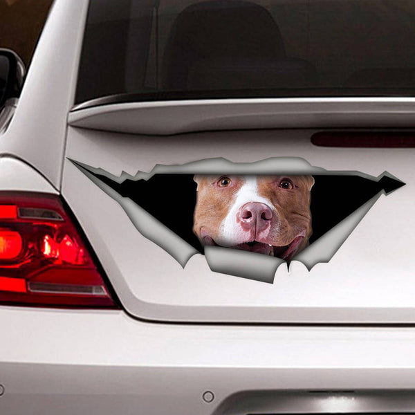 Pitbull Dog Pet Car Decal Sticker | Waterproof | PVC Vinyl | CCS2518-BehighStyle