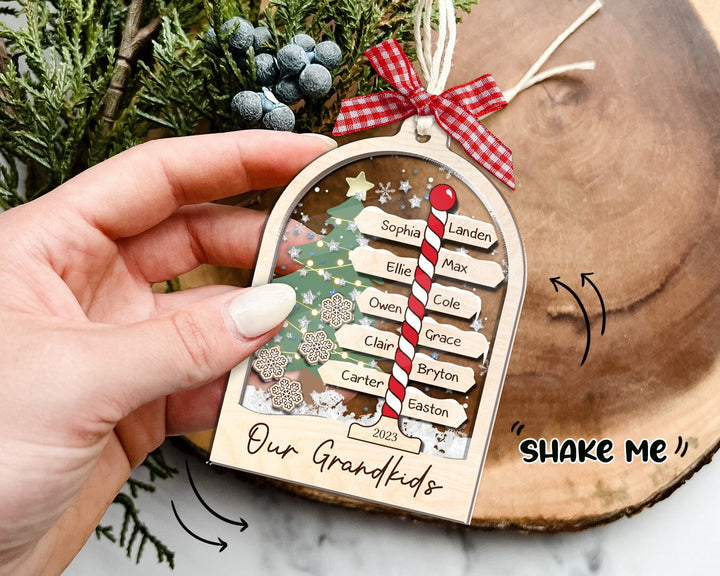 Family Christmas Shaker Ornament, Personalized Family Shaker Ornament, 4D Family Ornament 2023, Family Tree Ornament, Family Gift Ornament